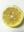 logo of Lemon Falls Cafe/Marketplace
